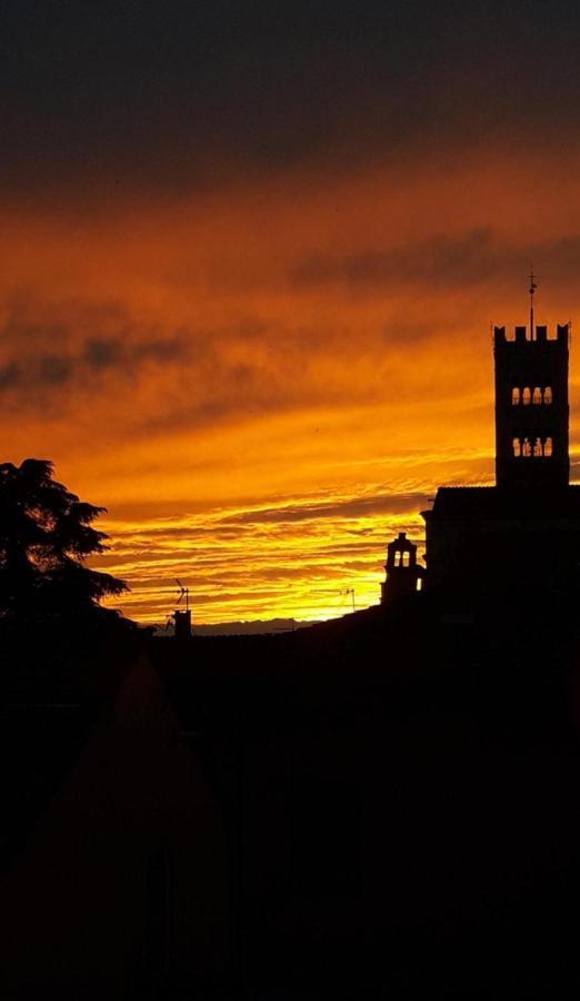 La Terrazza Fra Le Torri Appartement Lucca Buitenkant foto