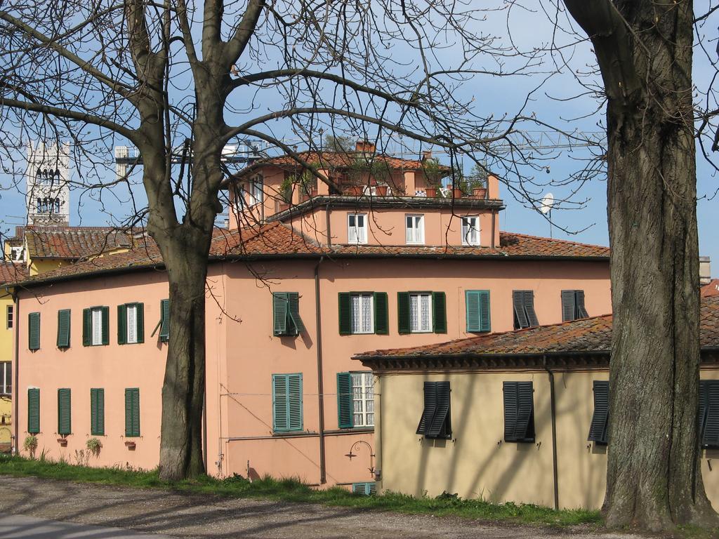 La Terrazza Fra Le Torri Appartement Lucca Buitenkant foto