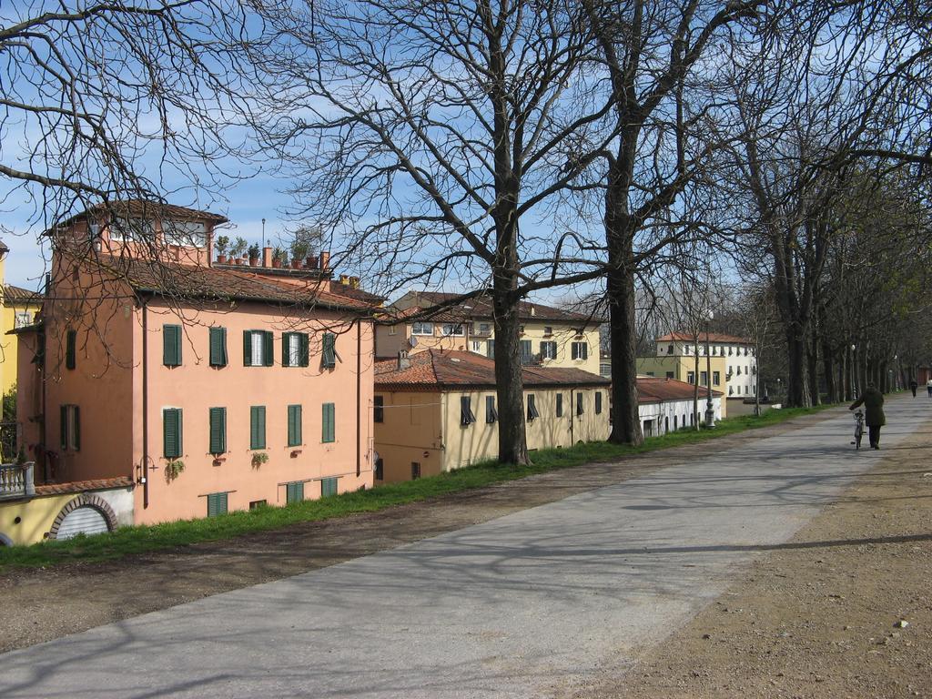 La Terrazza Fra Le Torri Appartement Lucca Buitenkant foto